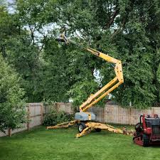 Tree and Shrub Care in Advance, MO